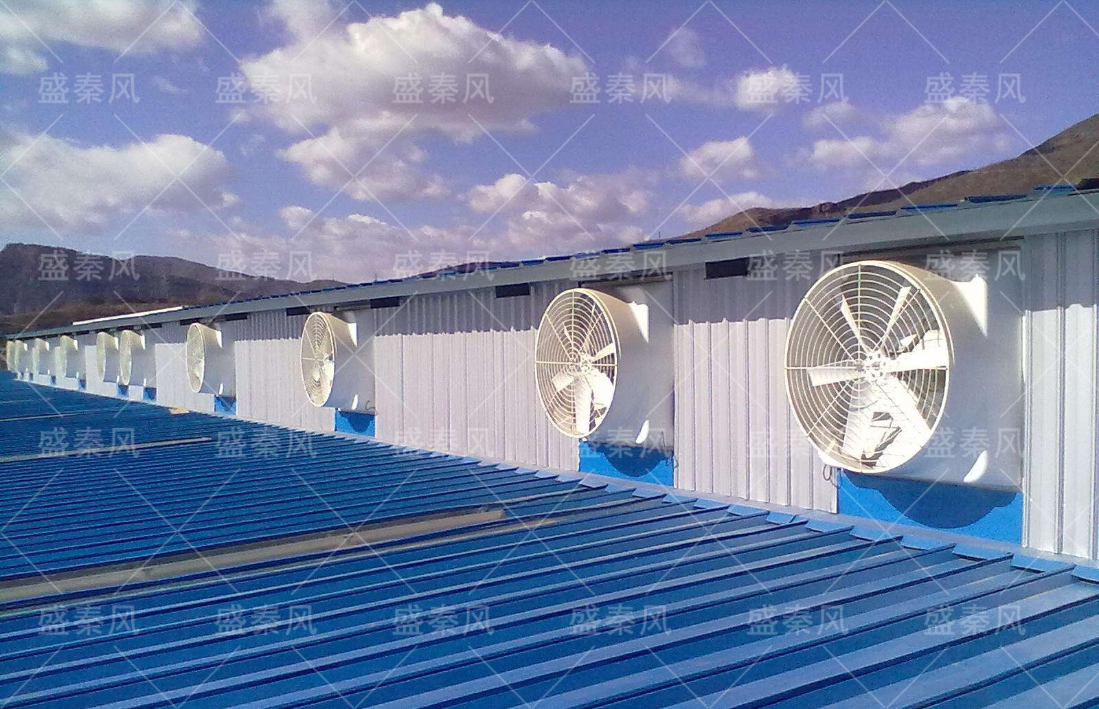 負壓風機噪音大是什么原因？湖北工業(yè)風扇風機廠家解答