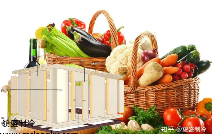 蔬菜保鮮冷庫的特點(diǎn)與優(yōu)勢有哪些？您了解這些方面嗎