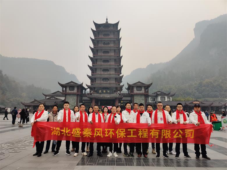 2019年湖北盛秦風公司